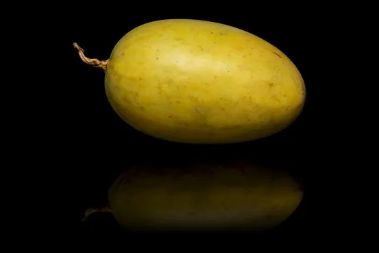 Barbadine