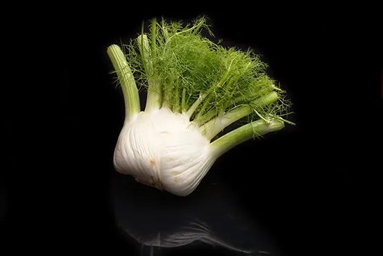 Fenouil