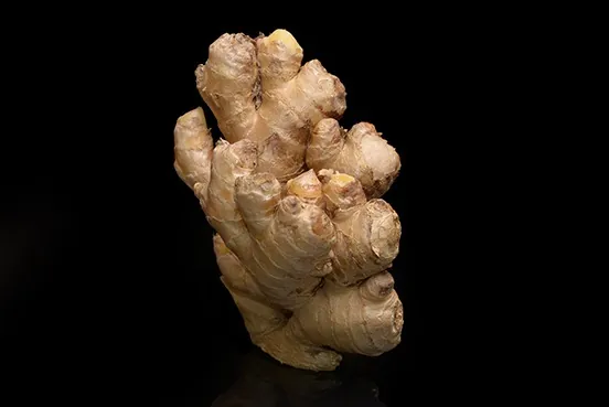 Gingembre