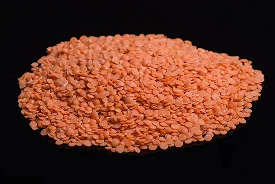 Lentille