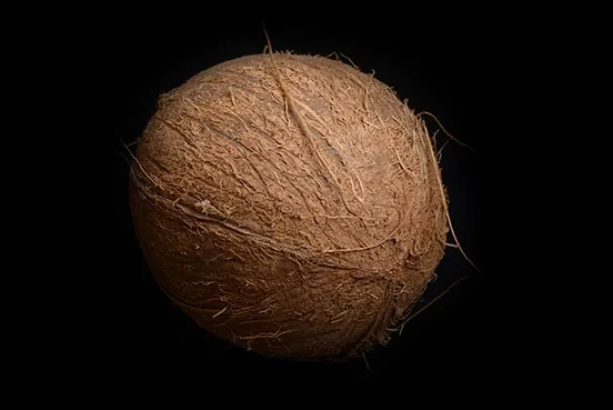 Noix de coco