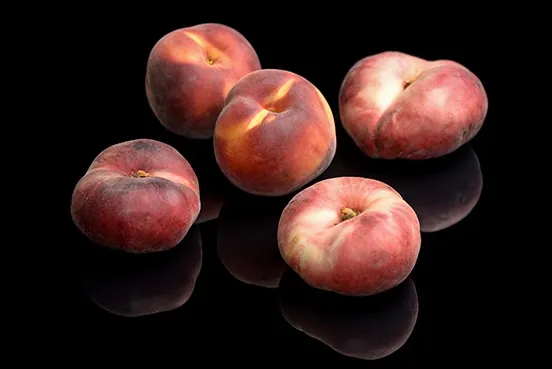 Pêche