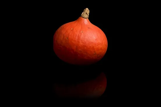 Potiron