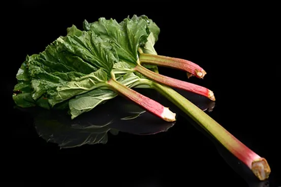 Rhubarbe
