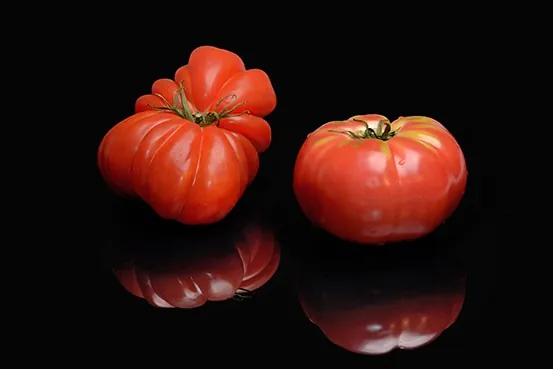 Tomate