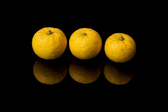 Yuzu