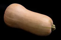 Butternut