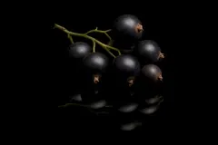 Cassis