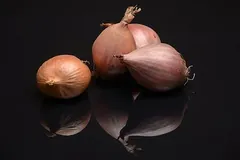 Échalote