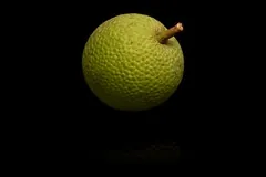 Fruit-À-Pain