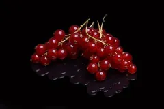 Groseille