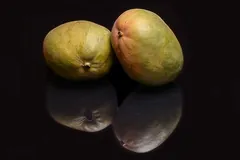 Mangue