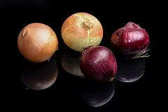 Oignon