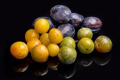 Prunes