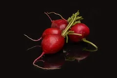 Radis