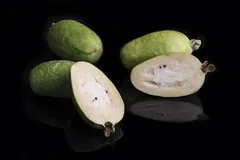 Feijoa