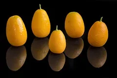 Kumquat