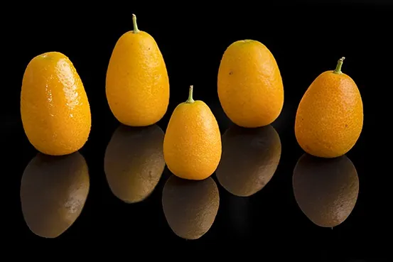 Kumquat