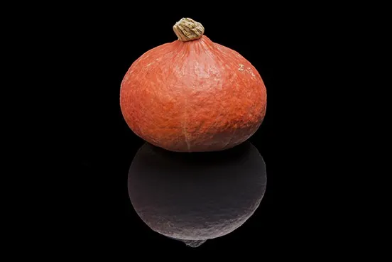 Potimarron